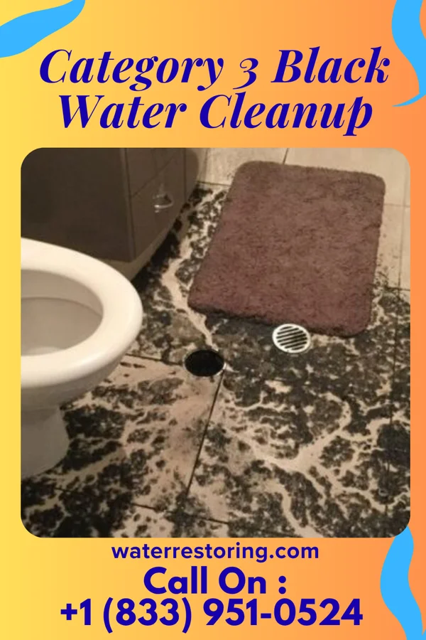 Category 3 Black Water Cleanup in Richfield, NC