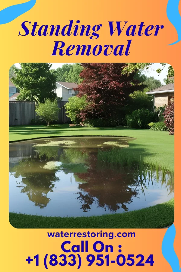 Standing Water Removal in Richfield, NC